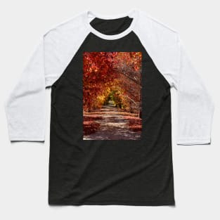 Path of Golden Hues Baseball T-Shirt